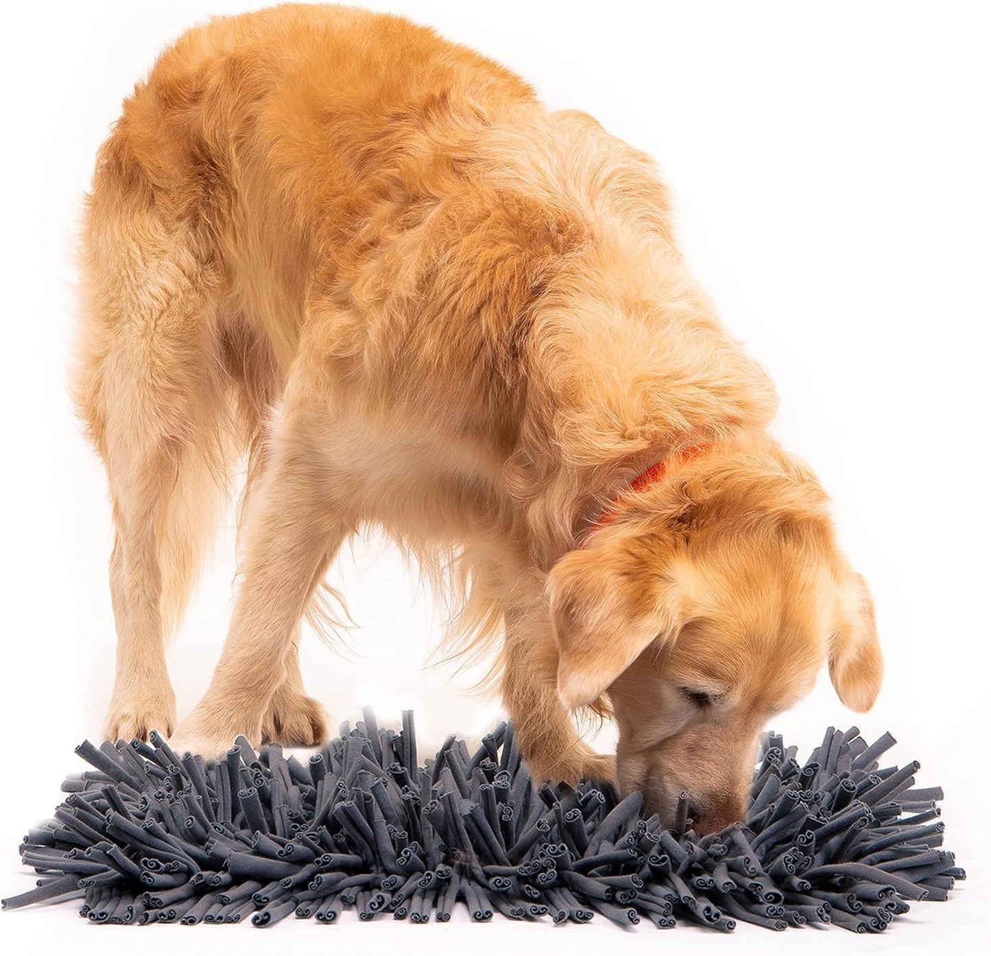 PAW5 Dog Snuffle Mat