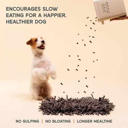 PAW5 Dog Snuffle Mat