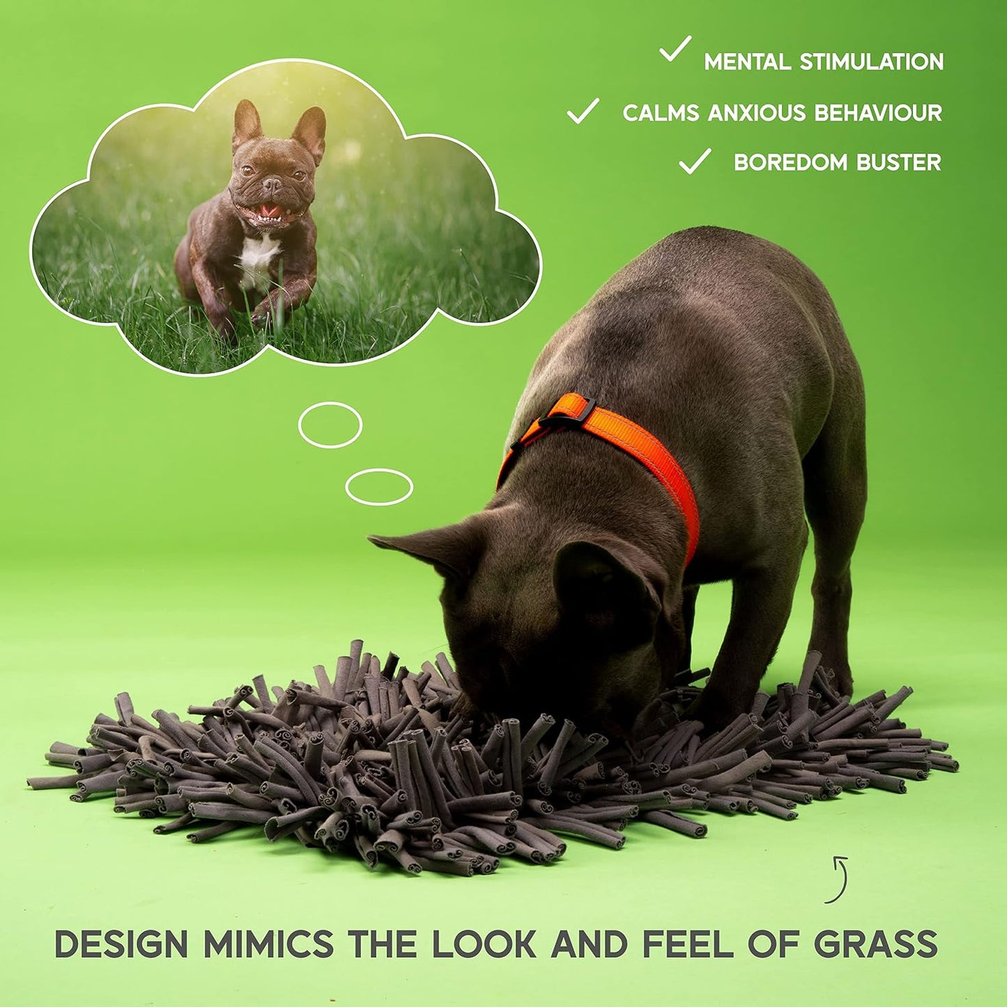 PAW5 Dog Snuffle Mat